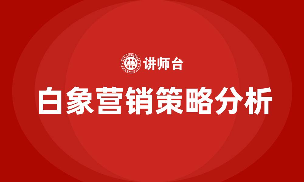 文章白象营销策略分析的缩略图