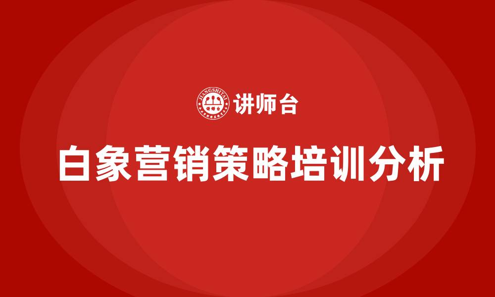 白象营销策略培训分析