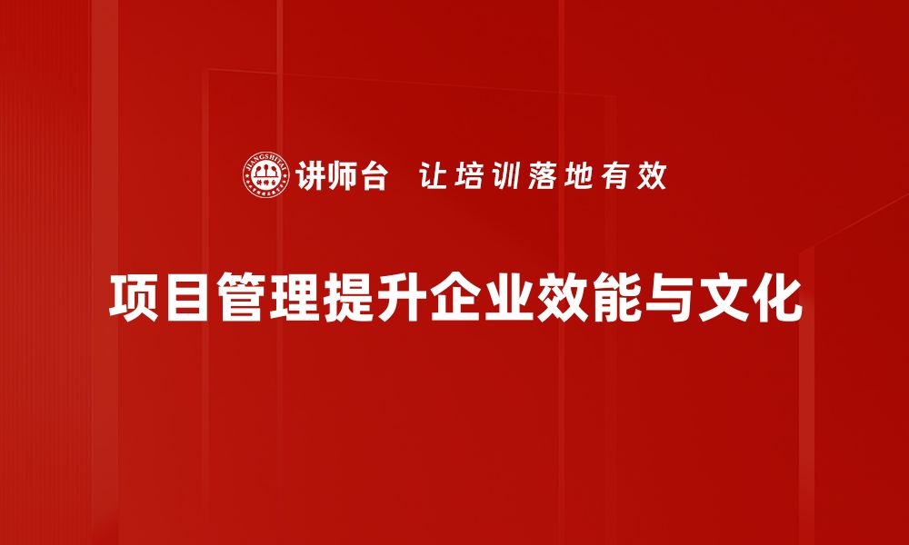 项目管理提升企业效能与文化