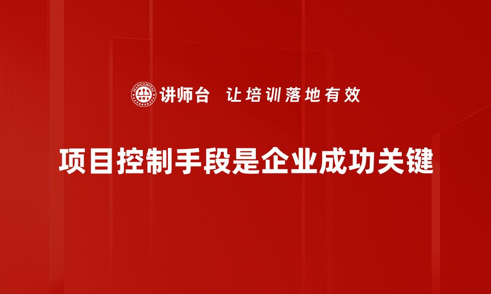 文章掌握项目控制手段提升管理效率的实用技巧的缩略图