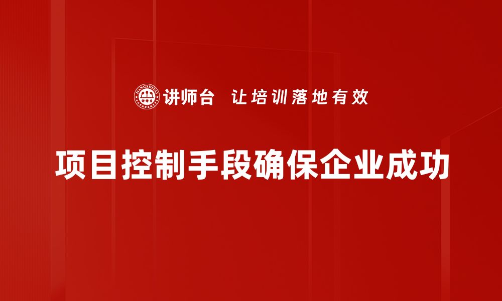 项目控制手段确保企业成功