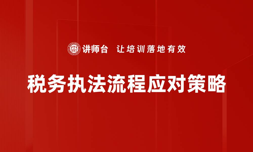 税务执法流程应对策略