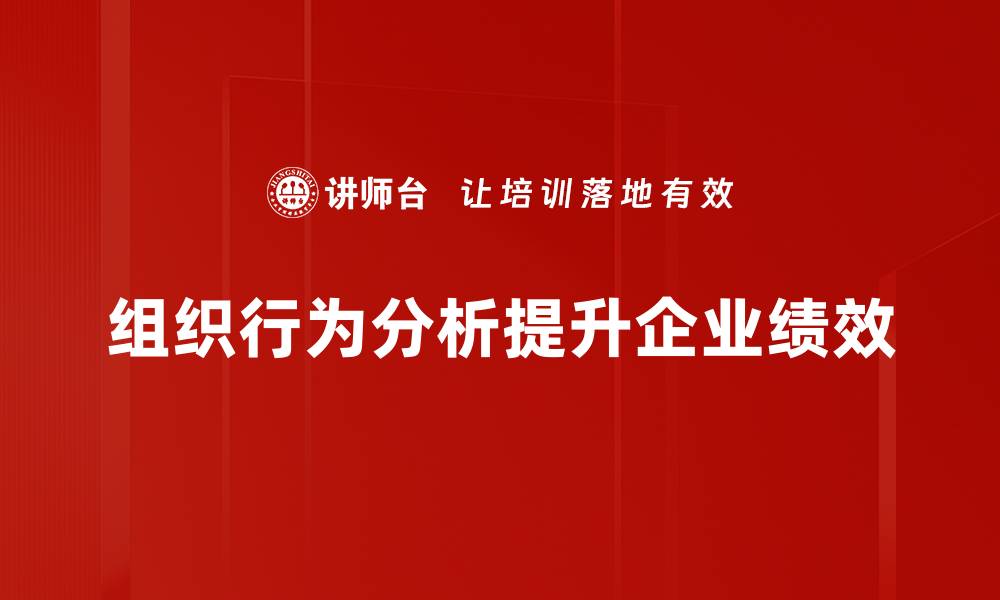 组织行为分析提升企业绩效