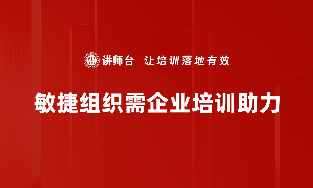 文章如何构建高效敏捷组织提升企业竞争力的缩略图