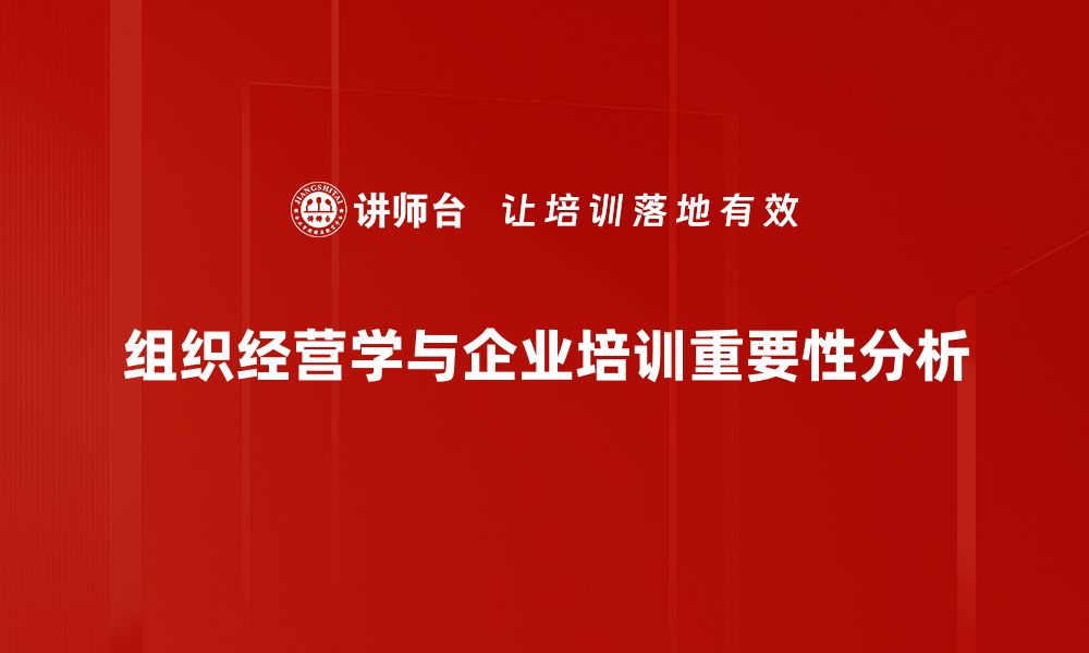 文章探索组织经营学：提升企业管理效率的关键策略的缩略图