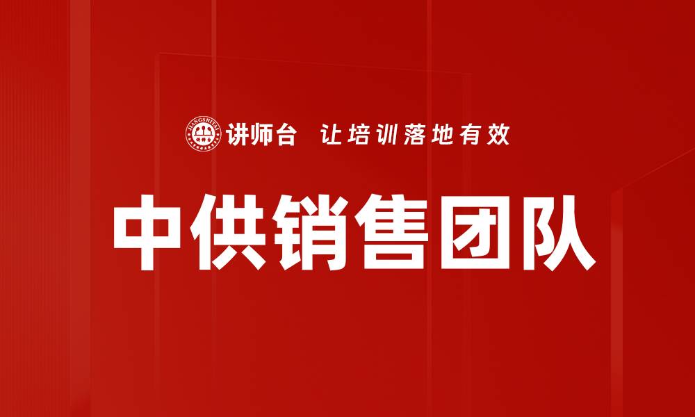 中供销售团队