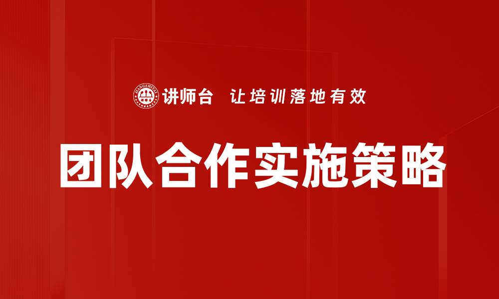 团队合作实施策略