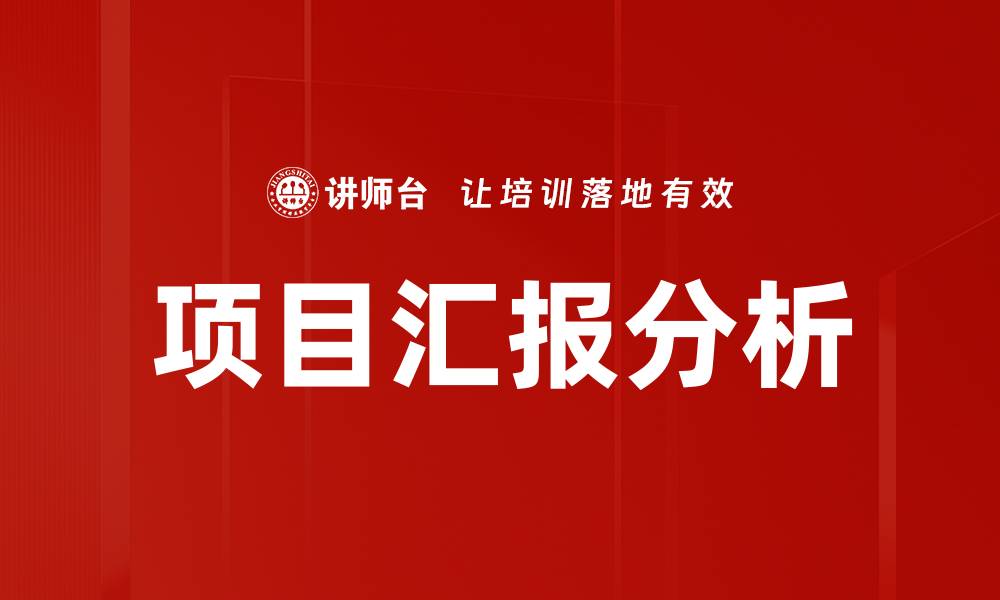 项目汇报分析