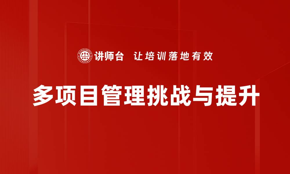多项目管理挑战与提升