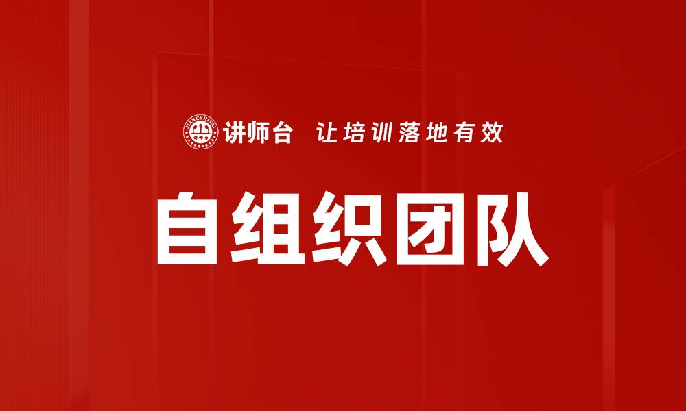 自组织团队