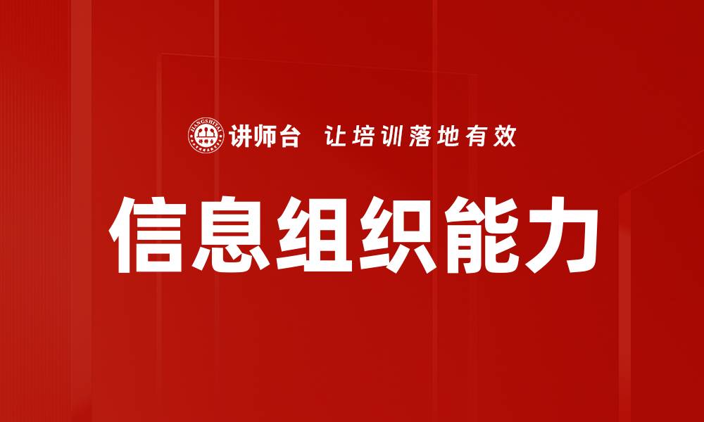 信息组织能力