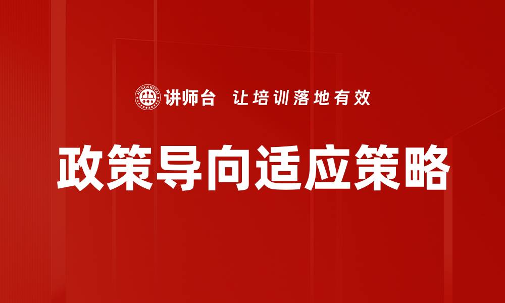 政策导向适应策略