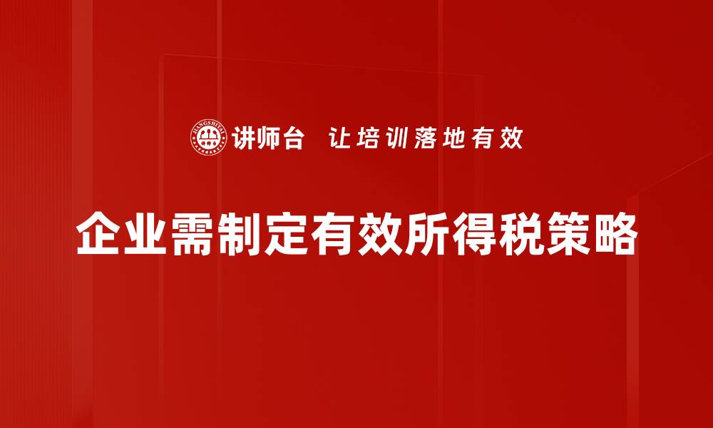 文章掌握所得税策略，轻松实现财富增值与节税双赢的缩略图