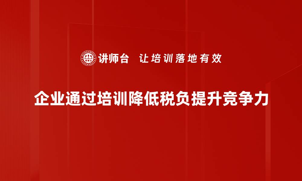 文章税负降低政策解析：企业如何抓住新机遇的缩略图