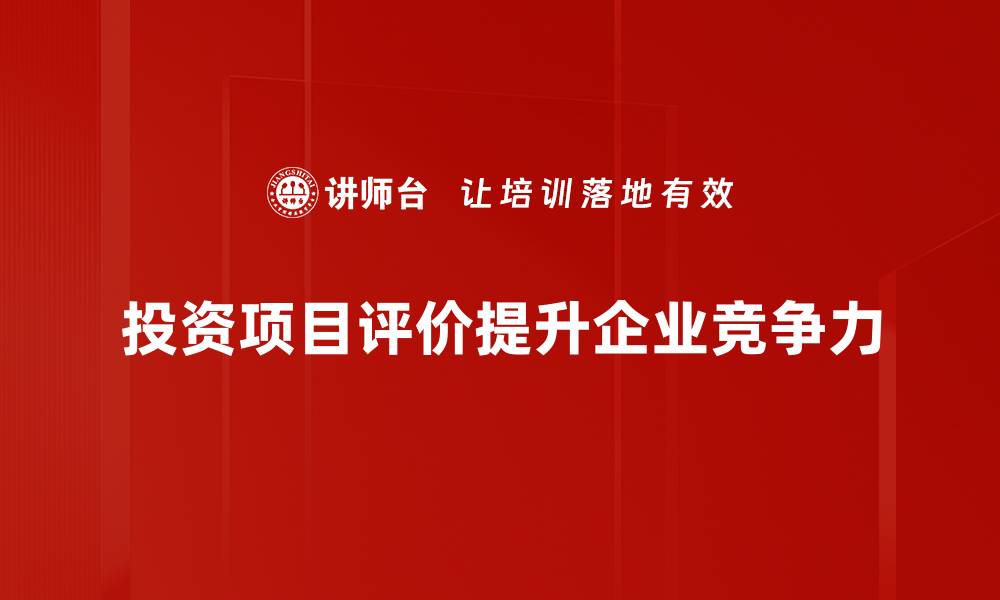 文章投资项目评价的关键要素与实践技巧解析的缩略图