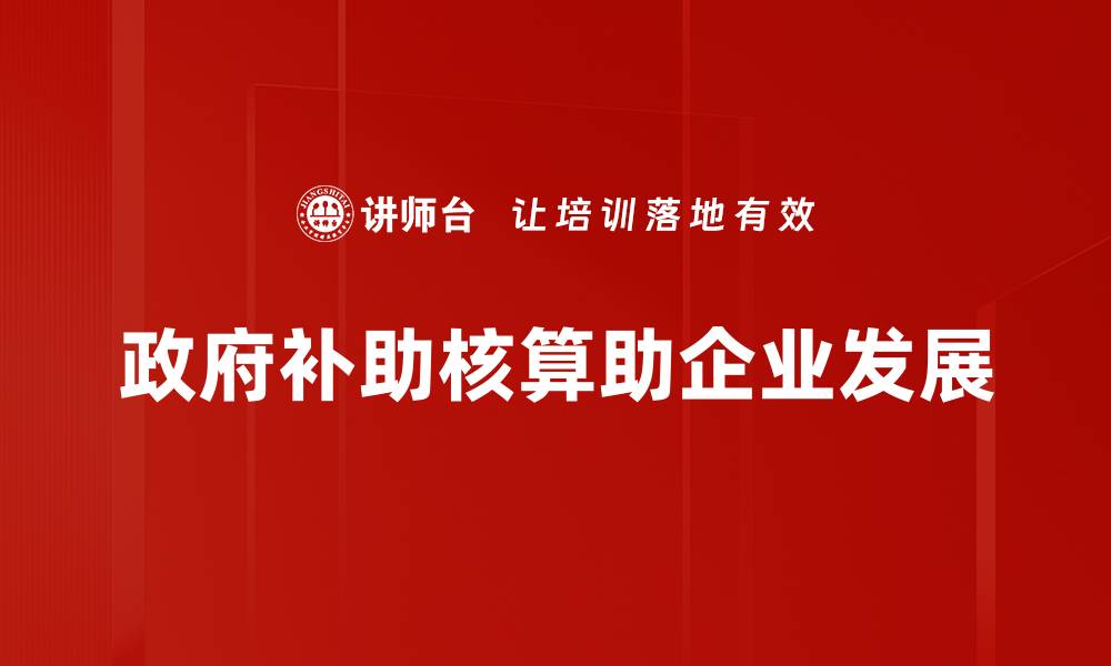 文章政府补助核算的关键要点与实用技巧分享的缩略图