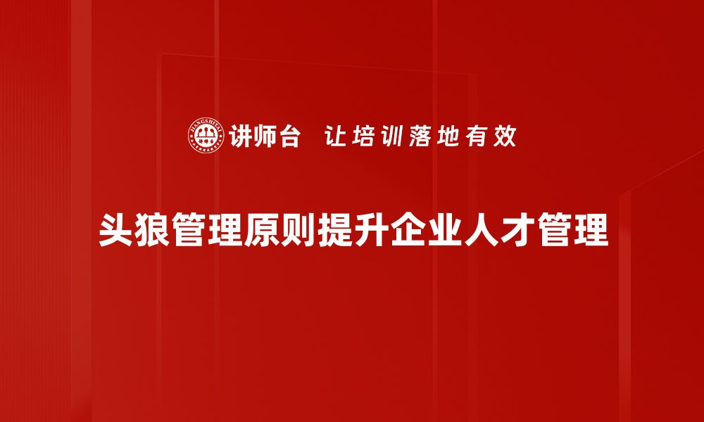 文章揭秘头狼管理原则，助你打造高效团队的缩略图