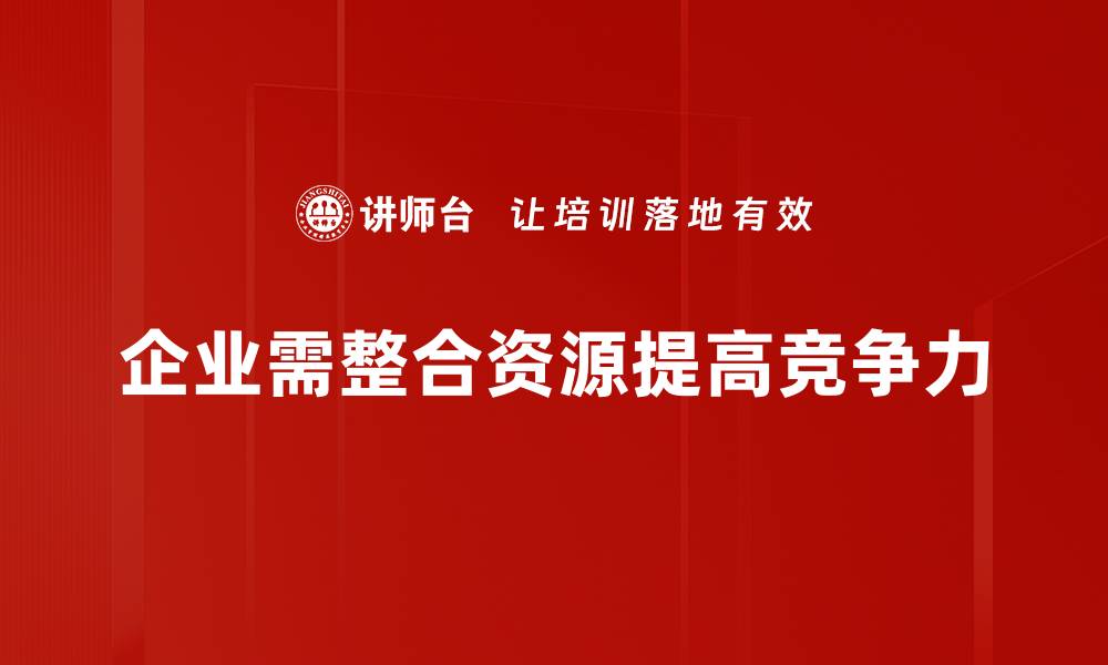 文章资源整合策略助力企业高效发展新路径的缩略图