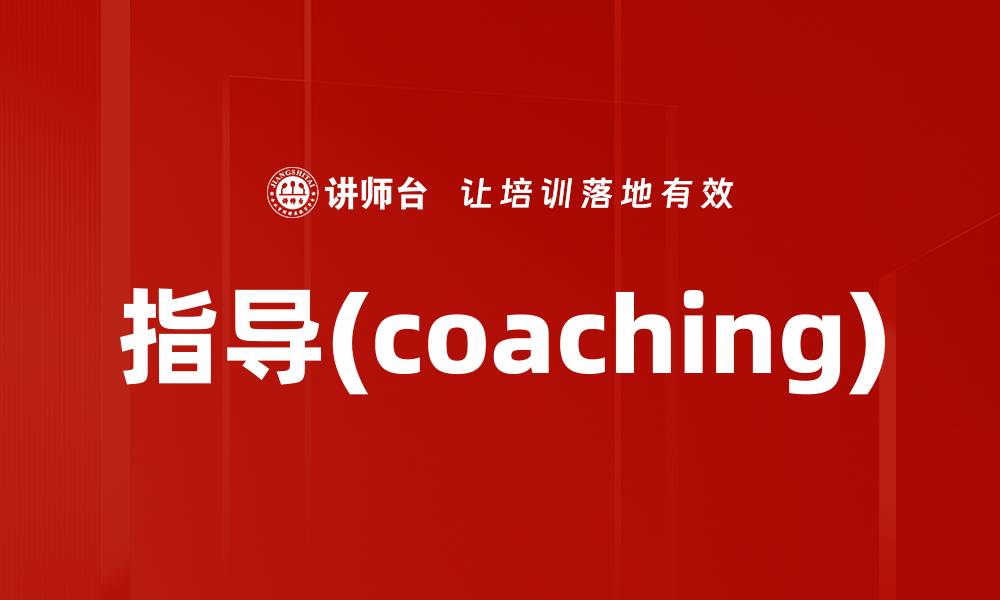 指导(coaching)