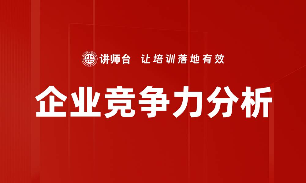 企业竞争力分析