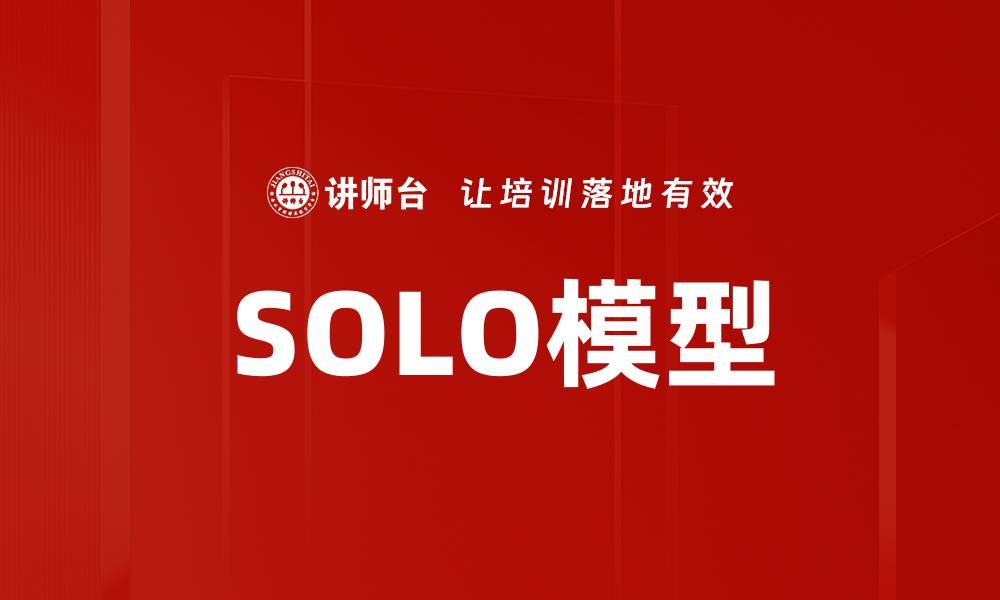 SOLO模型