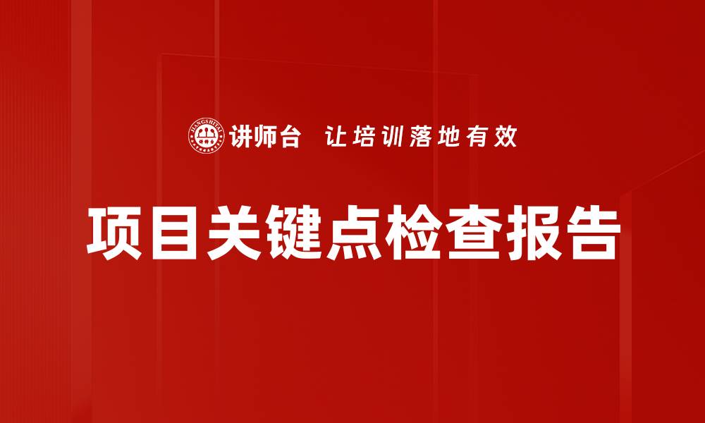 项目关键点检查报告