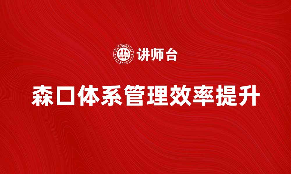 森口体系管理效率提升