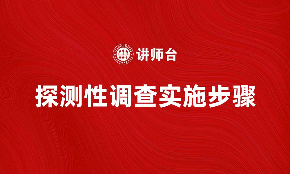 探测性调查实施步骤