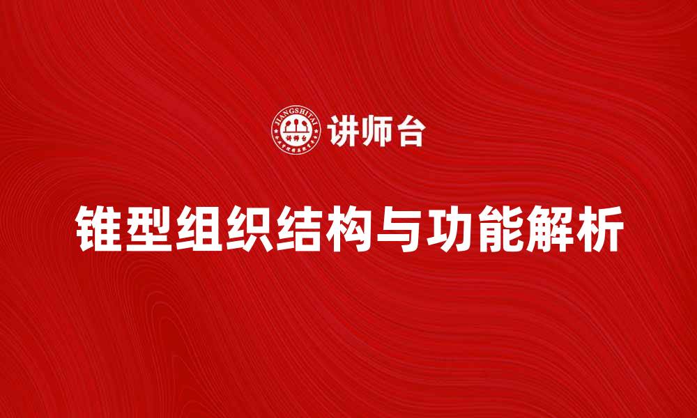 文章锥型组织的结构与功能解析，助你深入了解生物学奥秘的缩略图