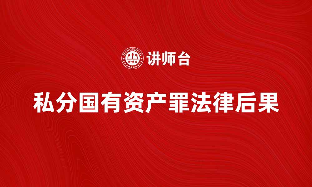 文章私分国有资产罪的法律后果与防范措施解析的缩略图