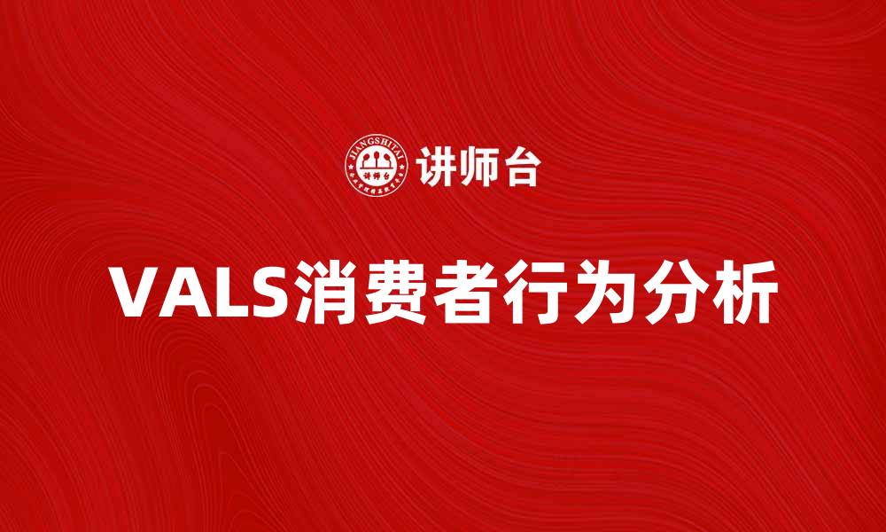 VALS消费者行为分析