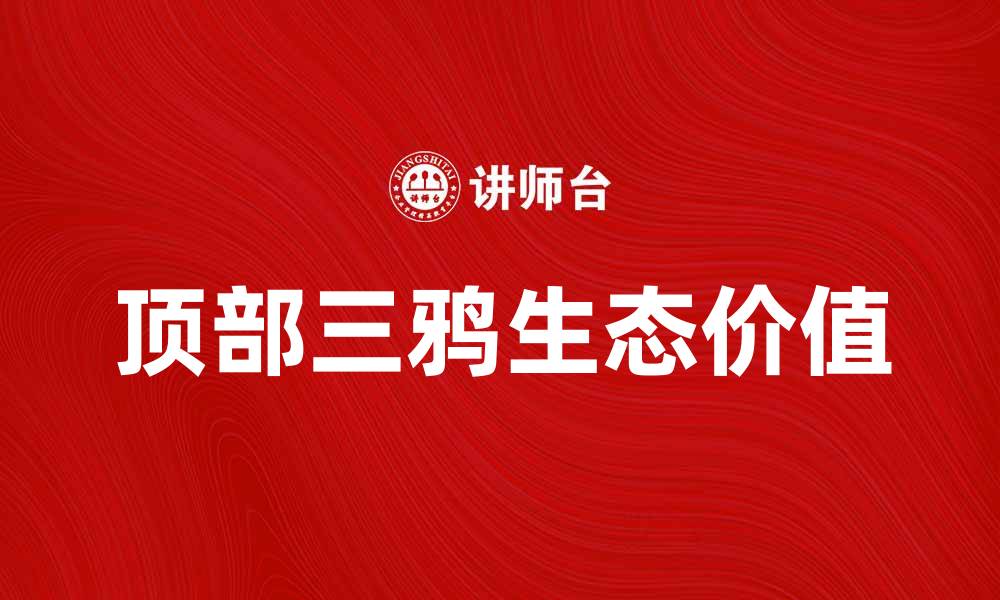 文章探索顶部三鸦的独特魅力与生态价值的缩略图