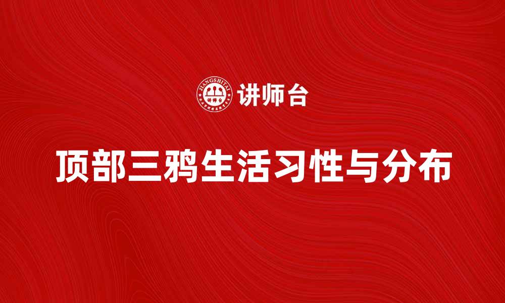 文章顶部三鸦：揭秘这种鸟类的生活习性与分布的缩略图