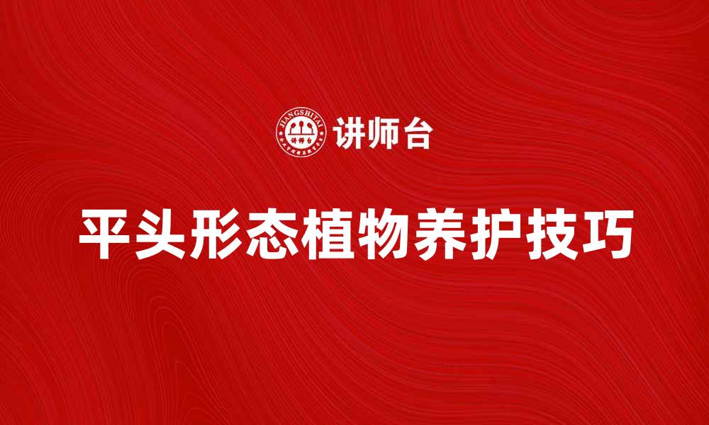 文章平头形态的特点与养护技巧解析的缩略图