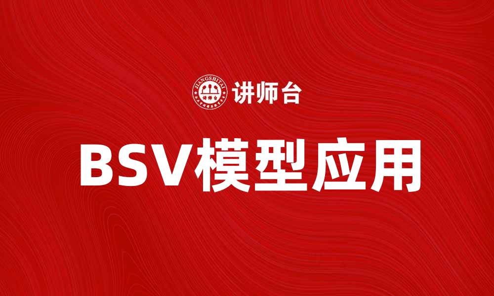 BSV模型应用