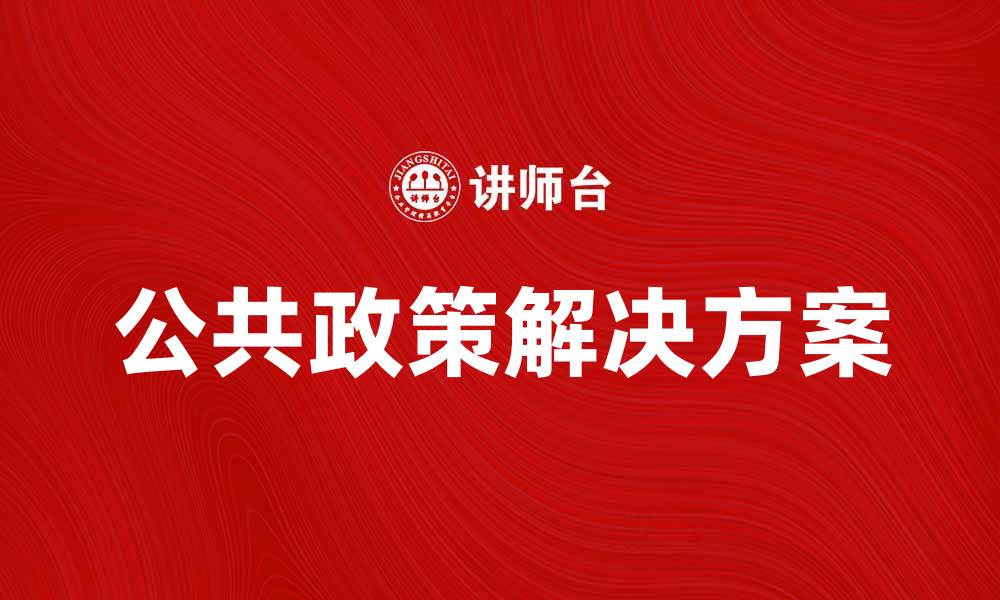 公共政策解决方案