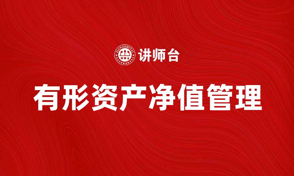 有形资产净值管理