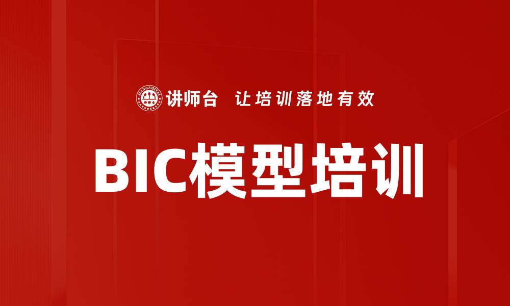 BIC模型培训