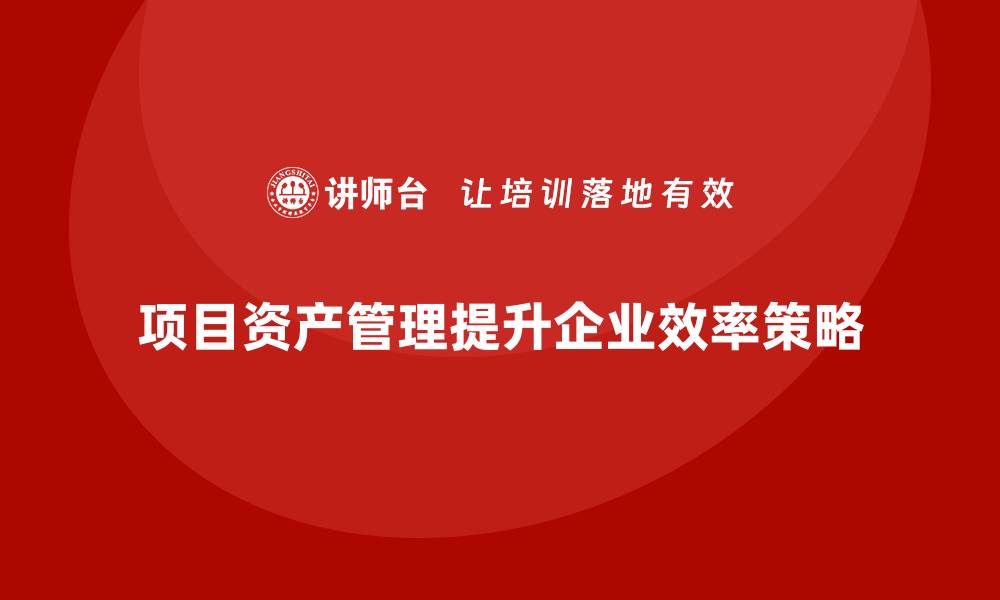 文章提升企业效率的项目资产管理策略解析的缩略图