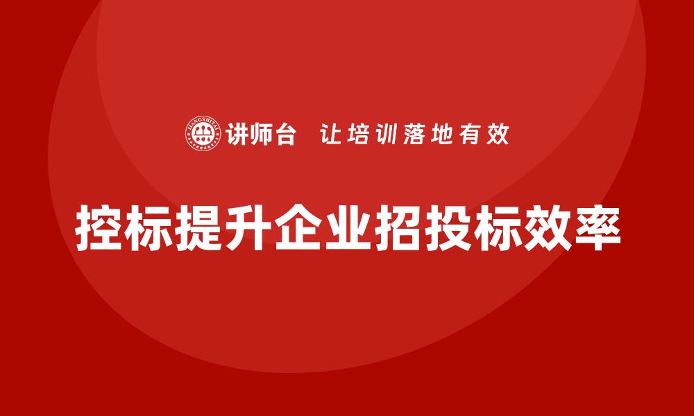 文章什么叫控标？深入解析控标的概念与应用的缩略图