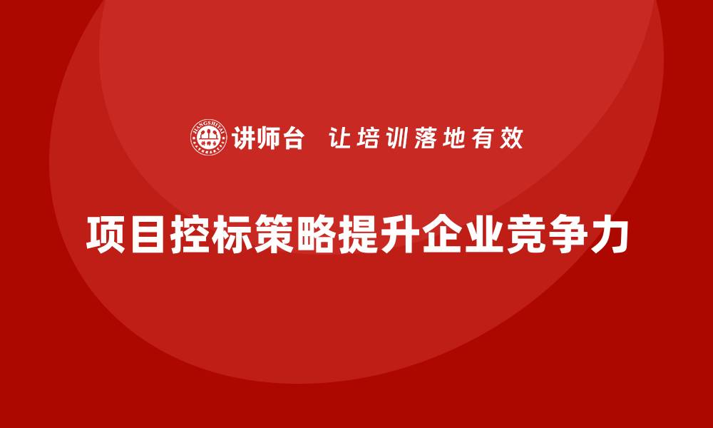 文章如何有效实施项目控标策略提升竞争力的缩略图