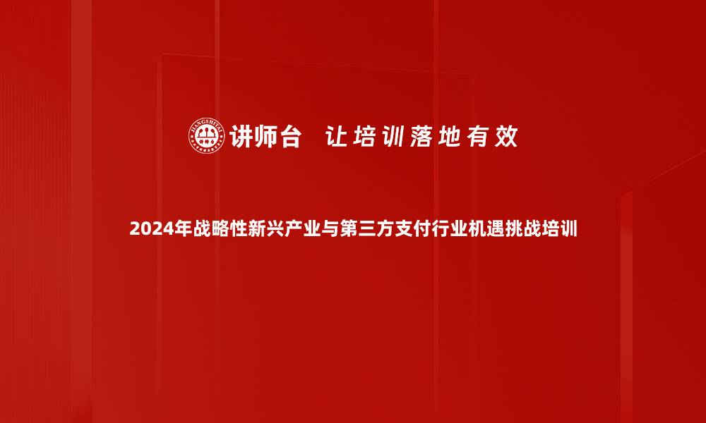 2024年战略性新兴产业与第三方支付行业机遇挑战培训