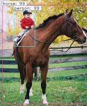 棕色的马
描述已自动生成