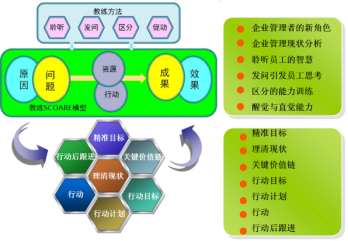 MCT照片